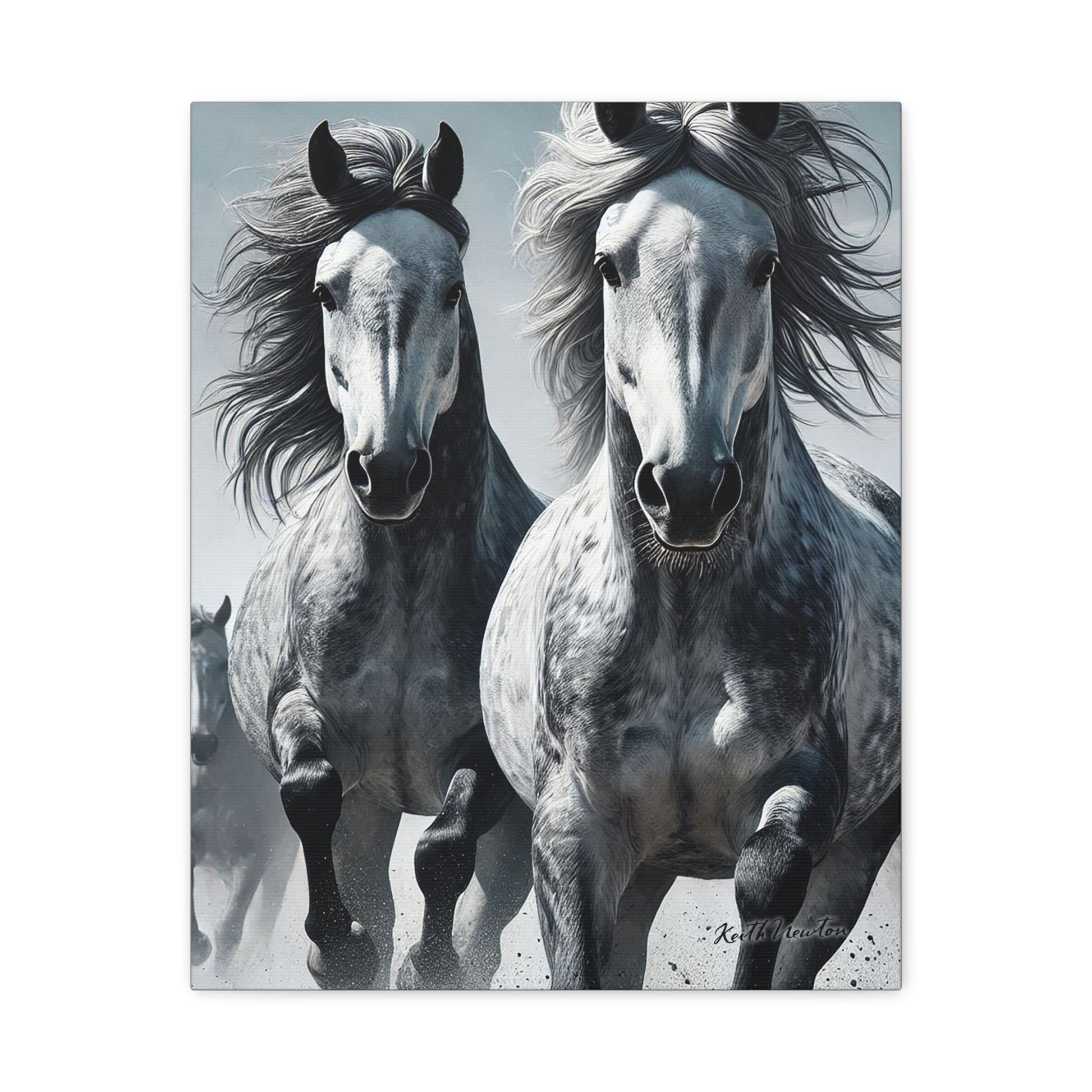 Dapple Grey Horses Running