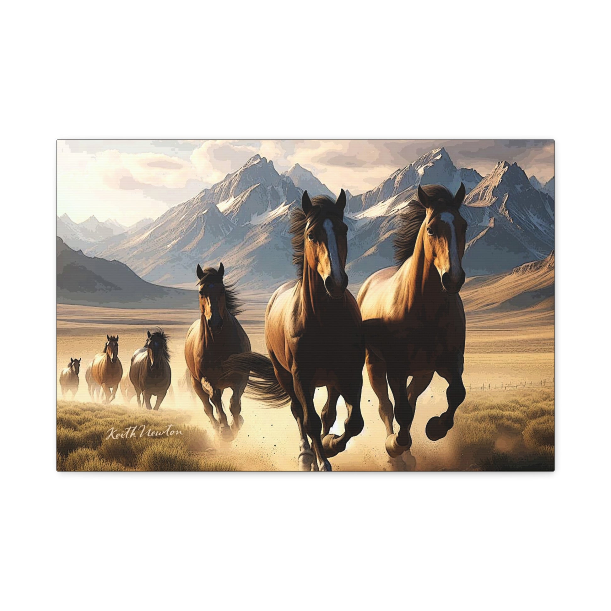 Wild Mustangs on the Countryside