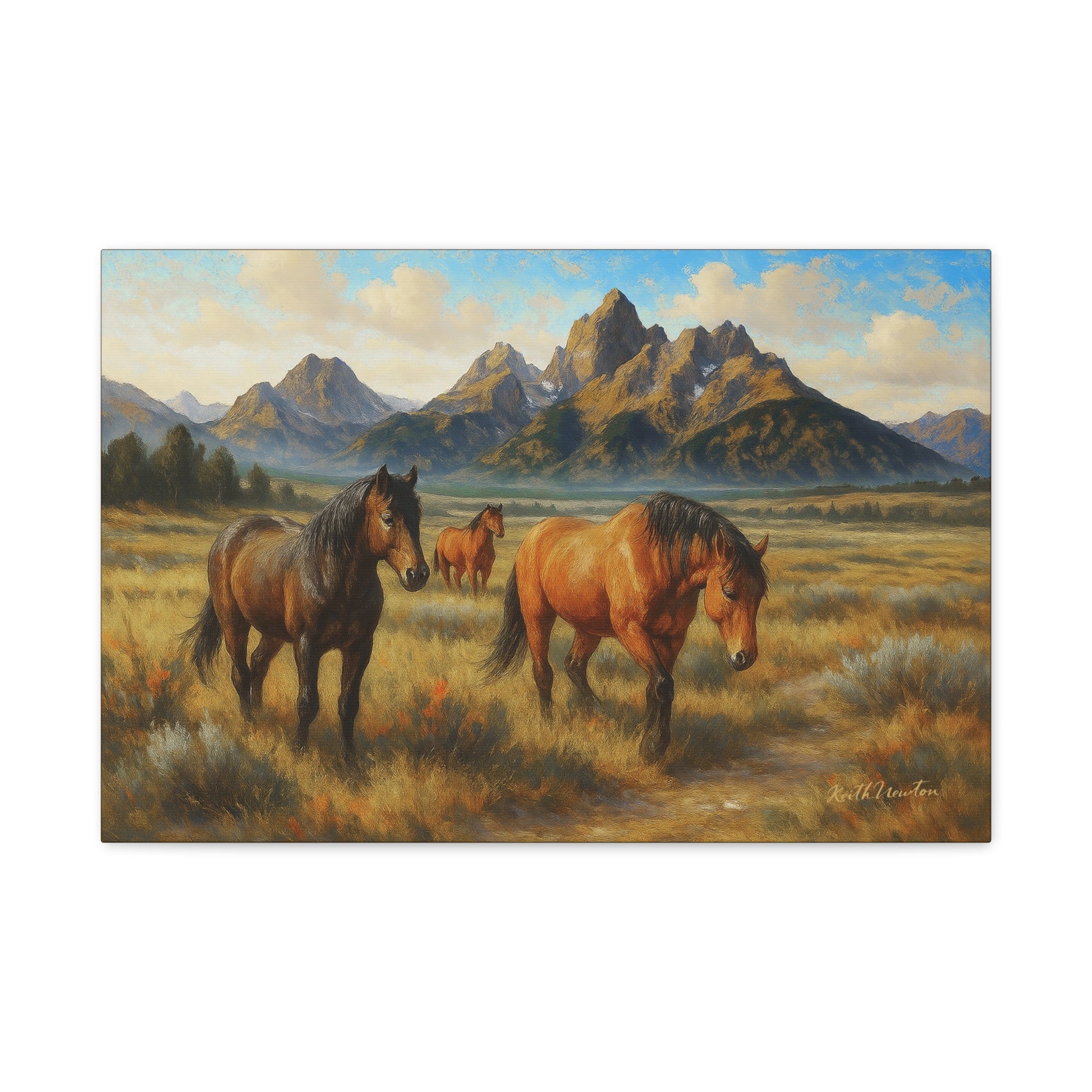 Valley Wanderers