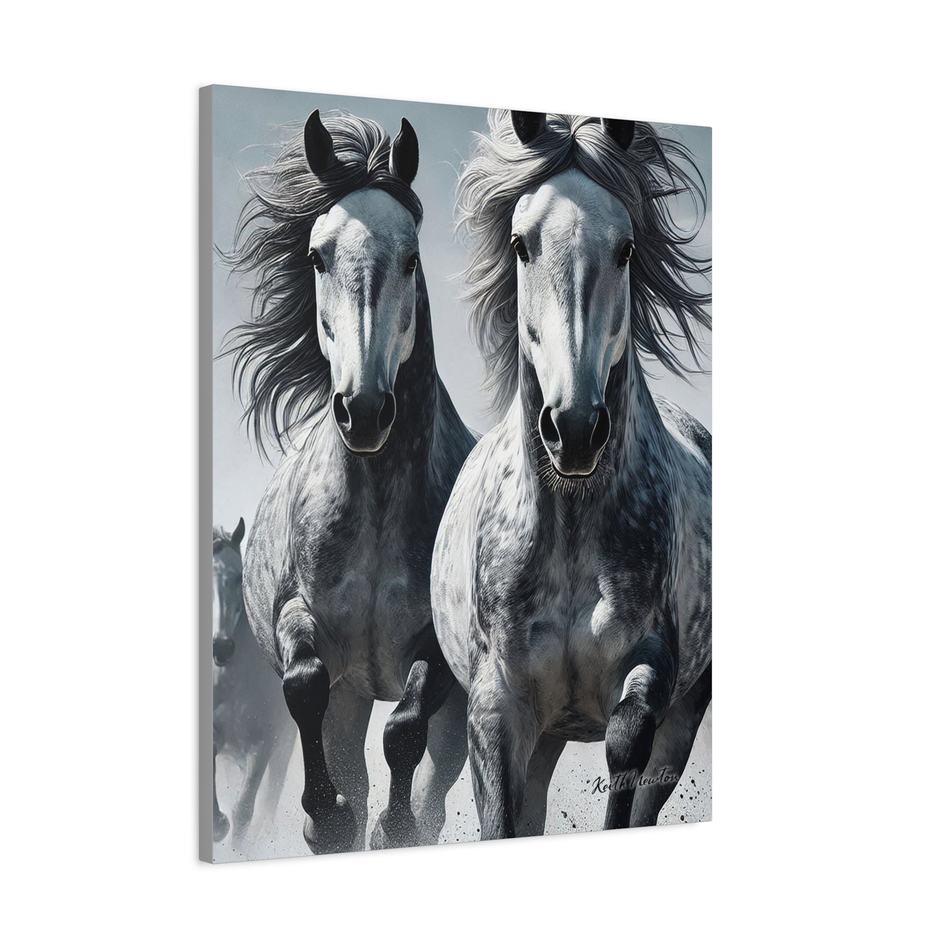 Dapple Grey Horses Running