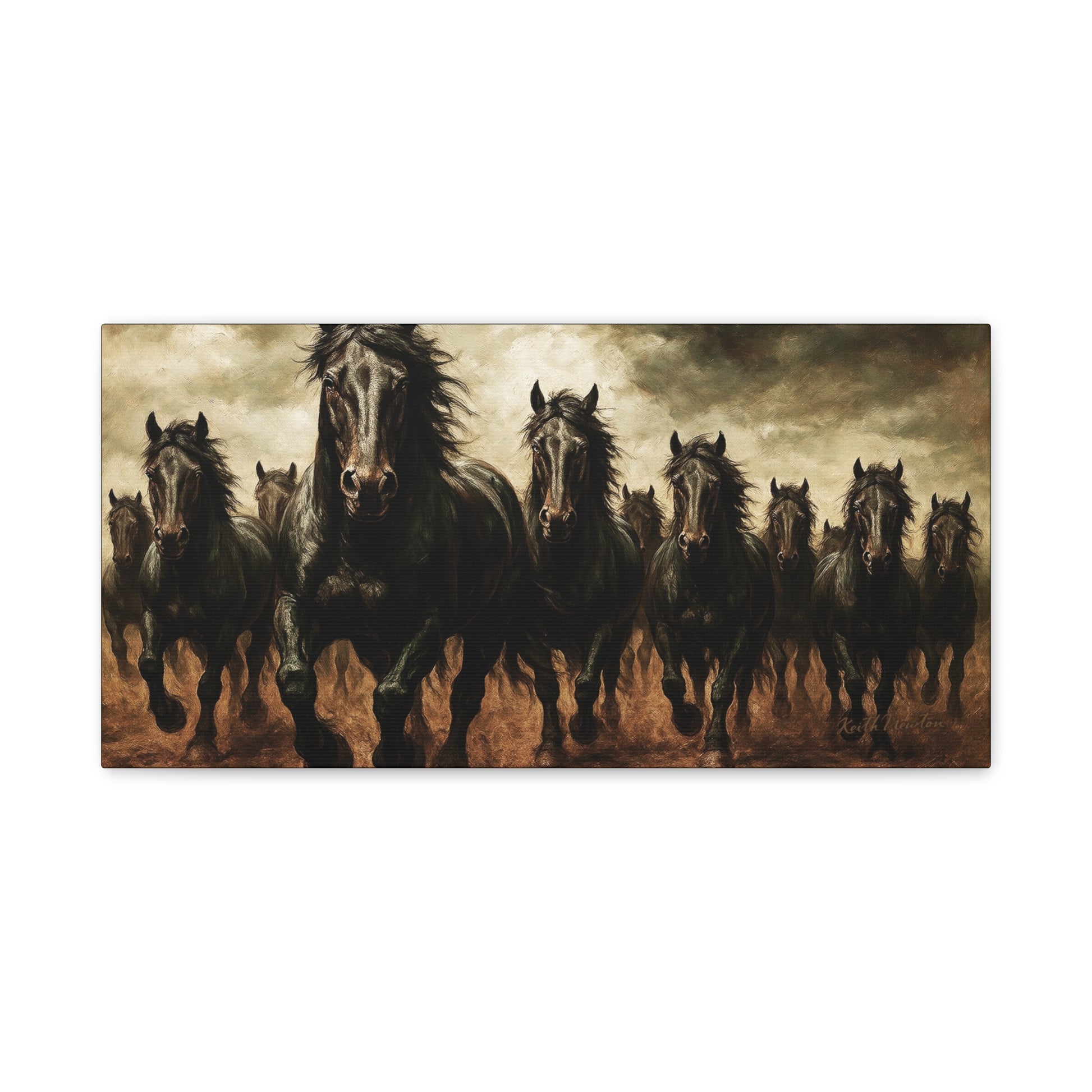 Thunder Run: Wild Black Beauties