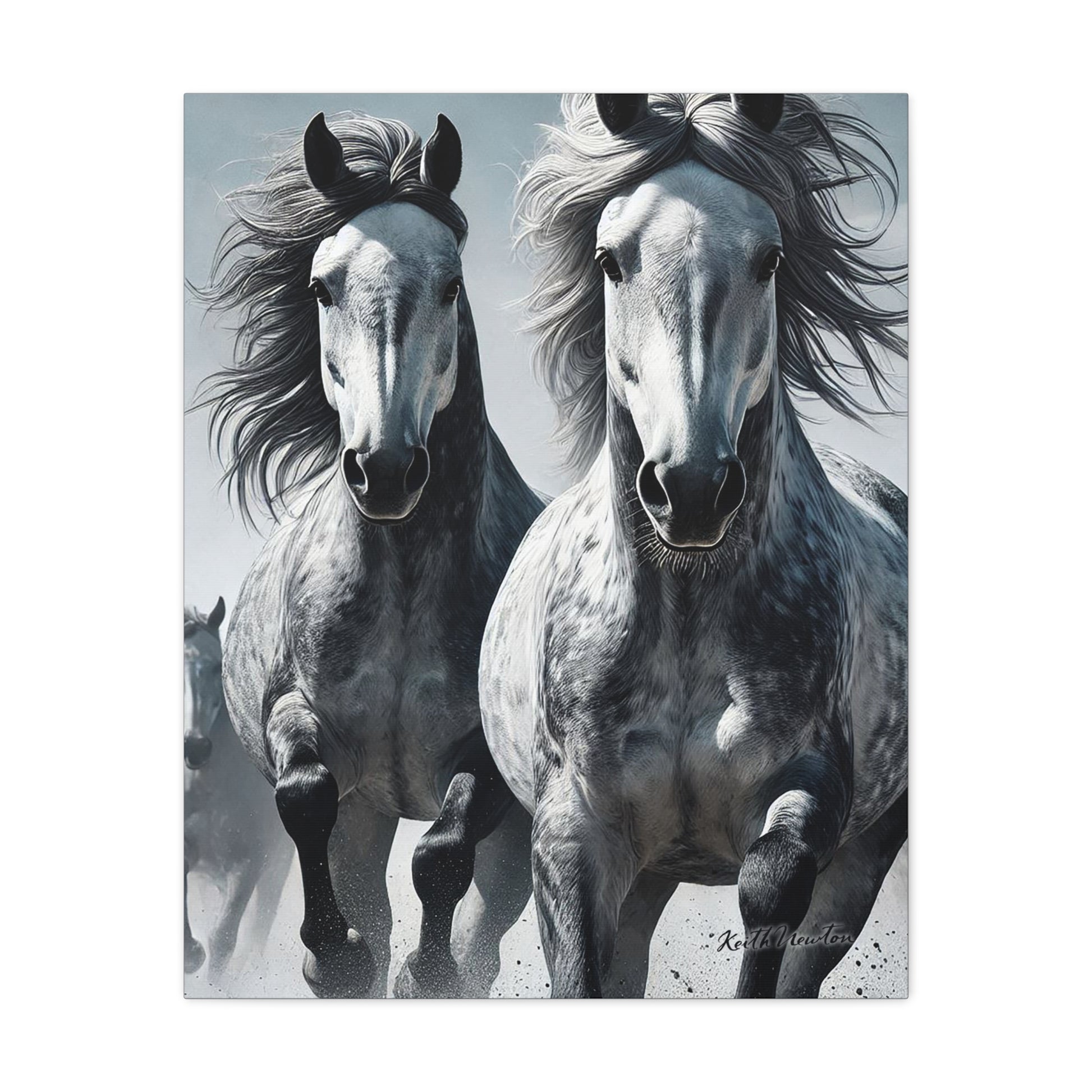 Dapple Grey Horses Running