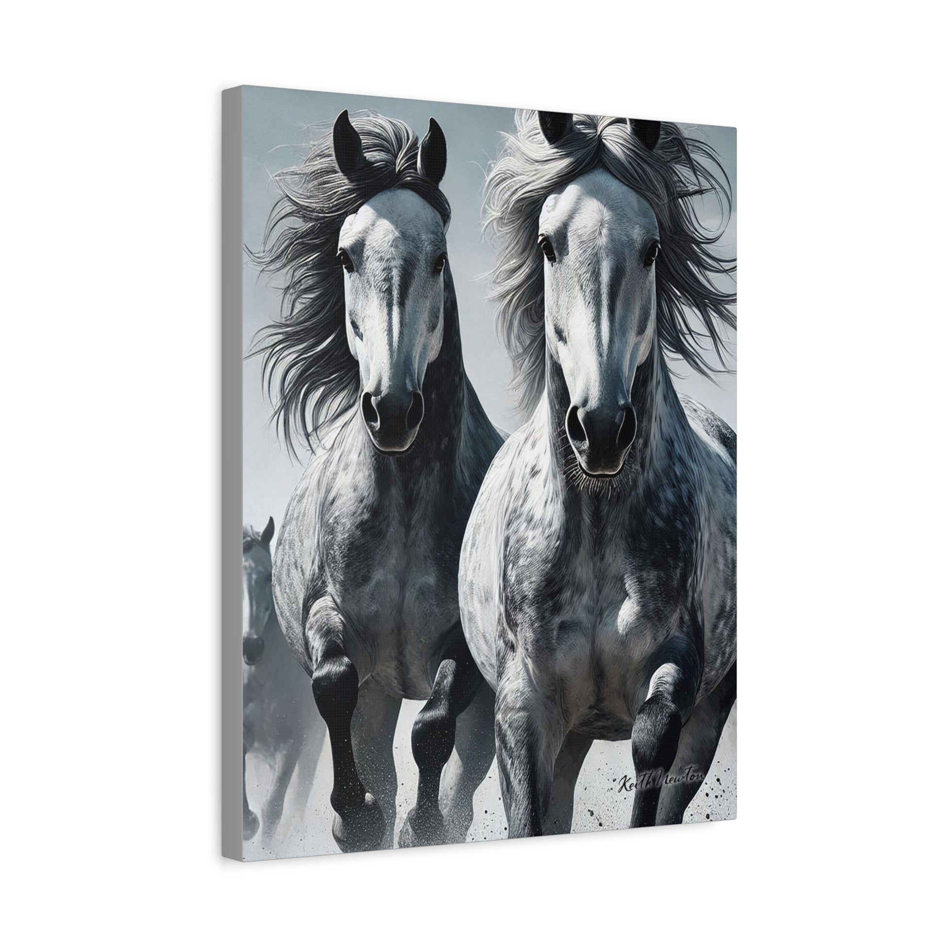 Dapple Grey Horses Running