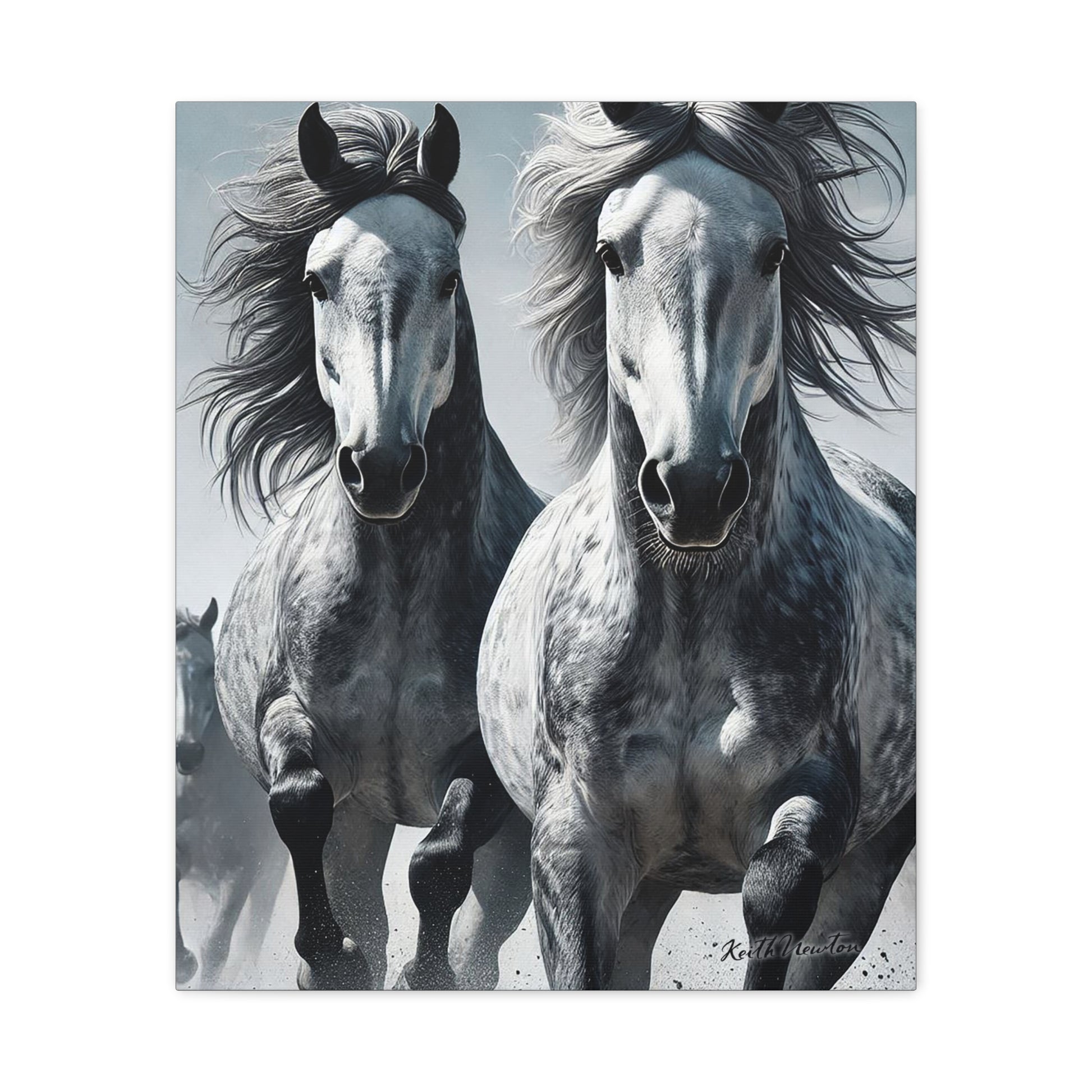 Dapple Grey Horses Running