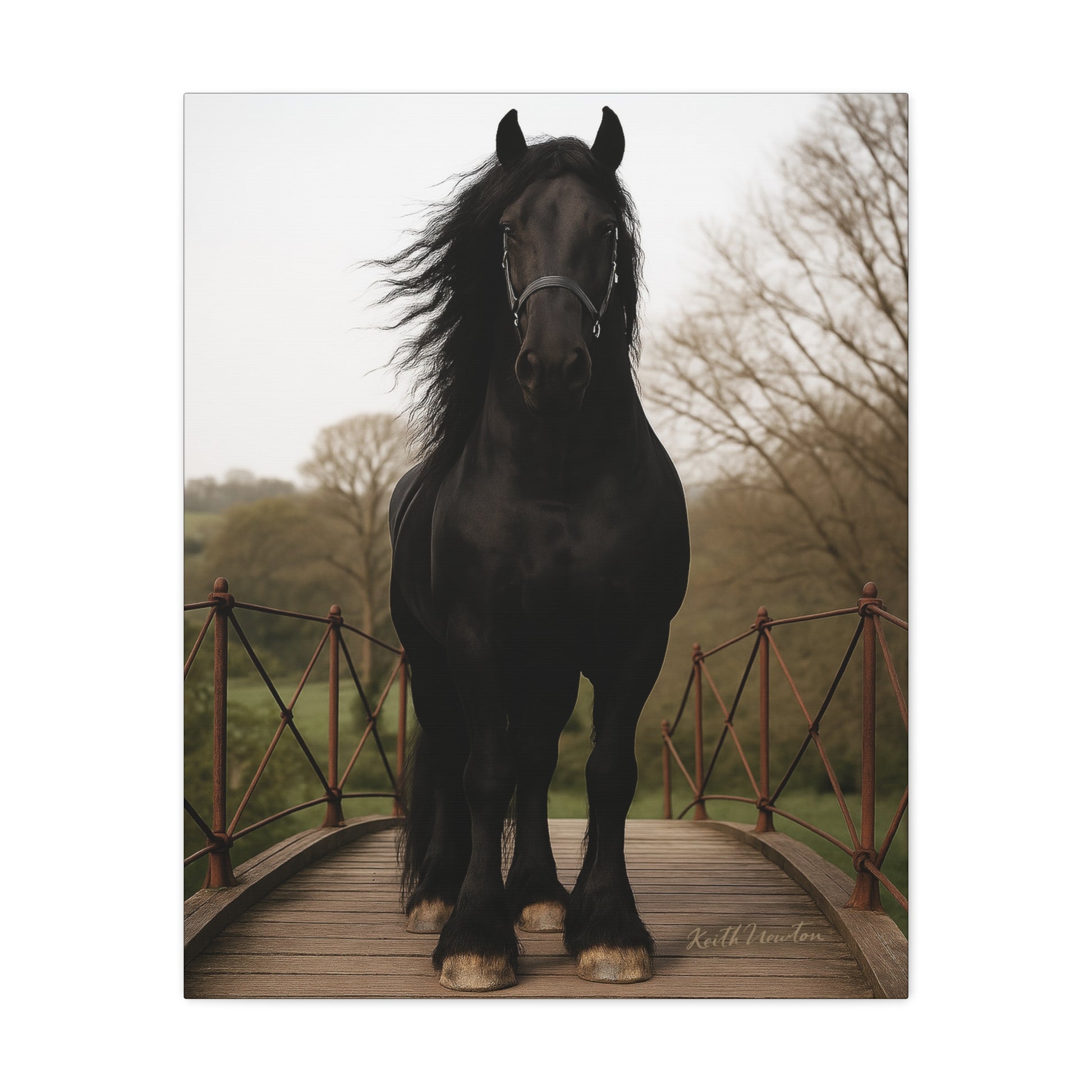 Shadowmane