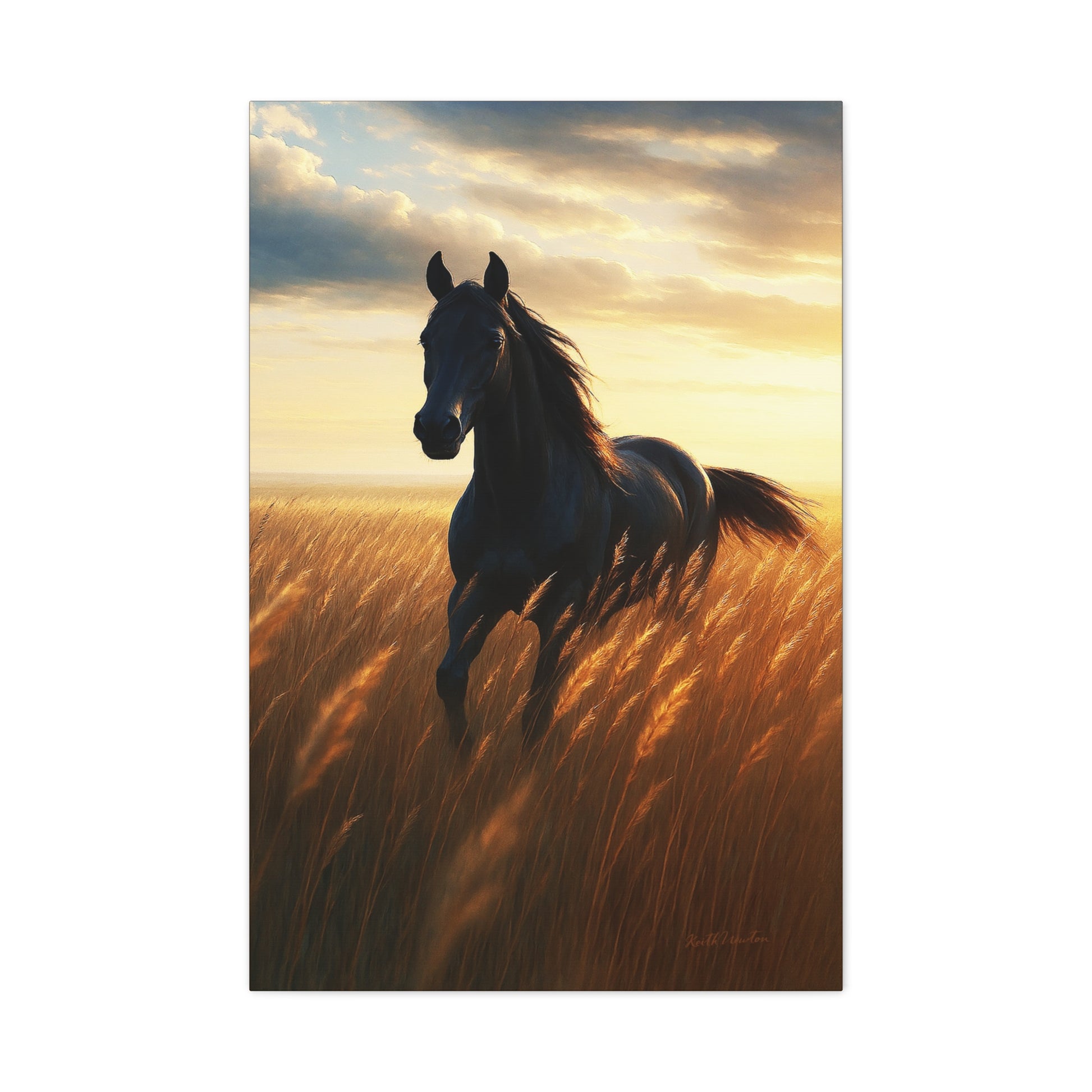 Radiance in the Wilderness