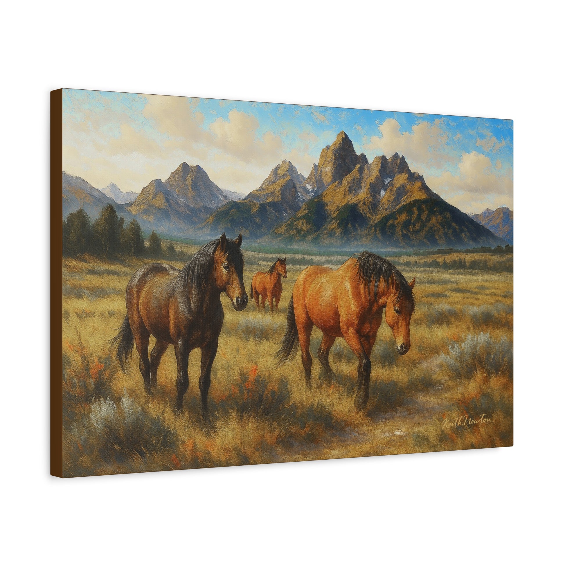 Valley Wanderers