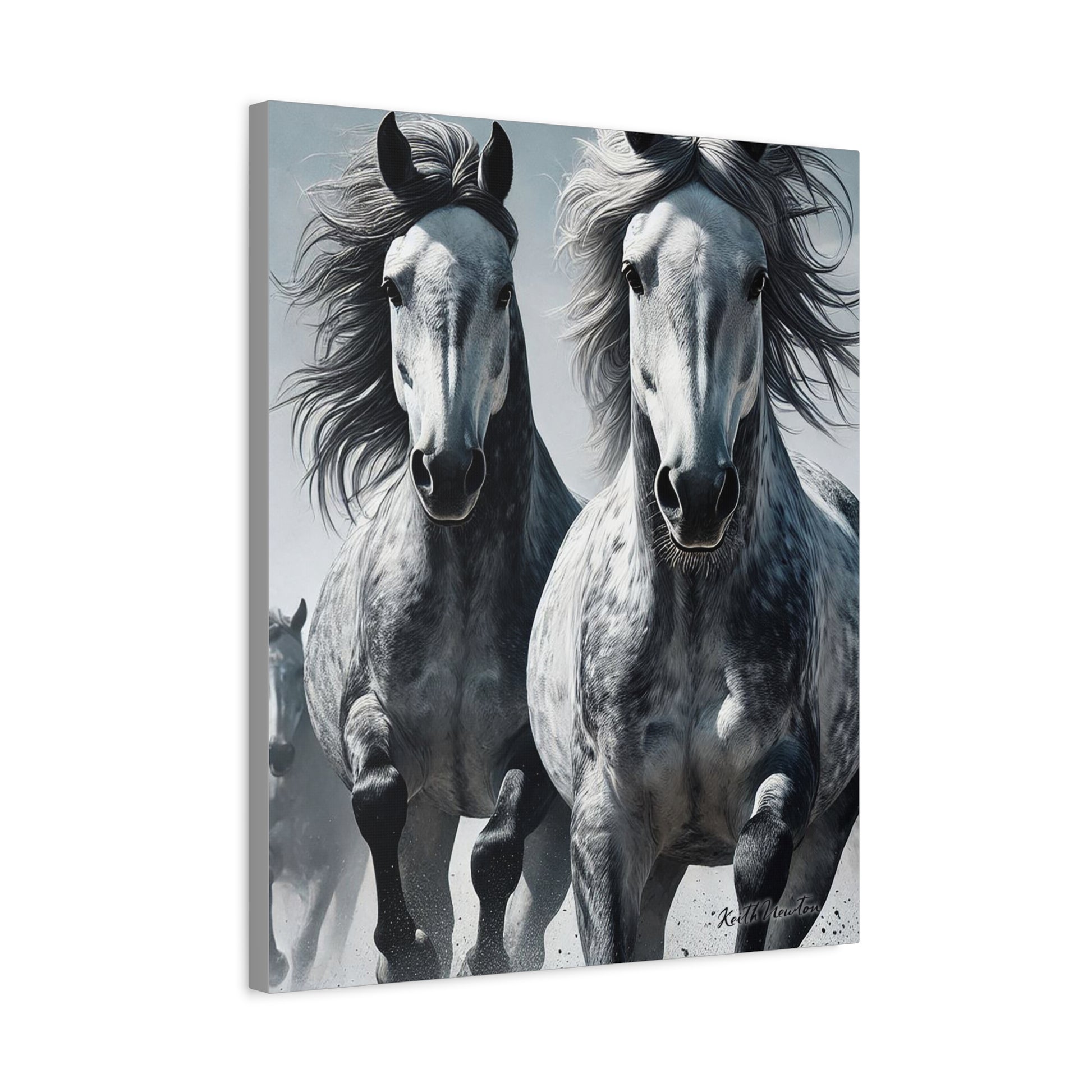 Dapple Grey Horses Running