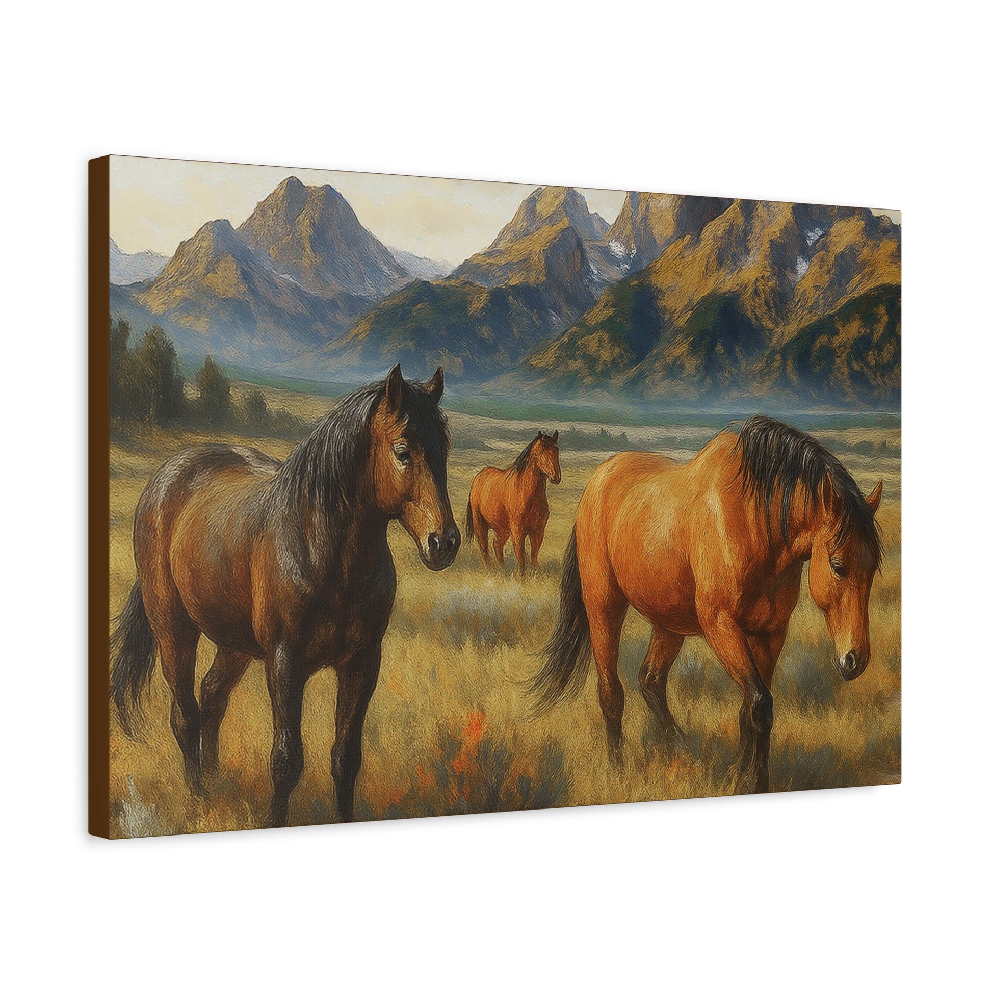 Valley Wanderers